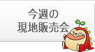 今週の現地販売会