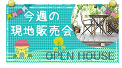 今週の現地販売会