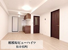 相模原ビューハイツ　4階