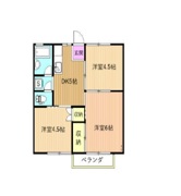 かしまハイツⅡ（定期借家）（２０２号室）